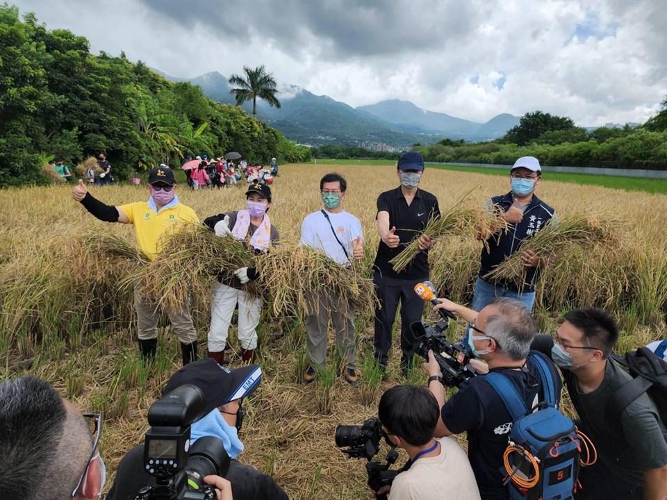 周處長與台北市政府黃珊珊副市長至關渡體驗收割水稻活動