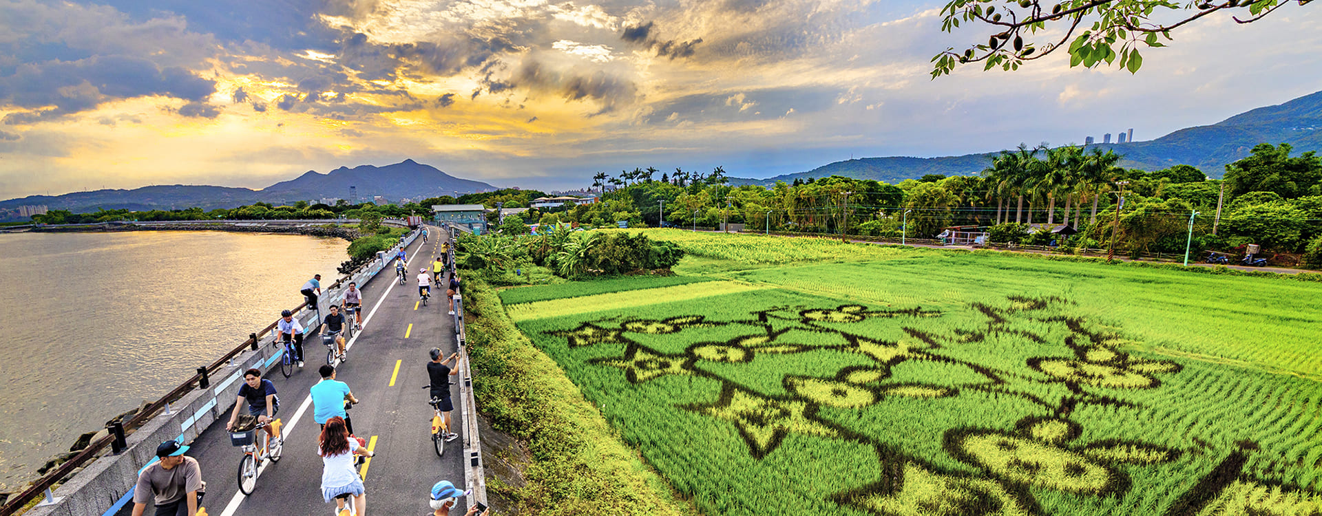 七星管理處-關渡彩繪稻田